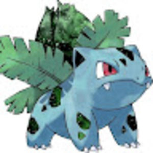 Meet your Posher, Brinley